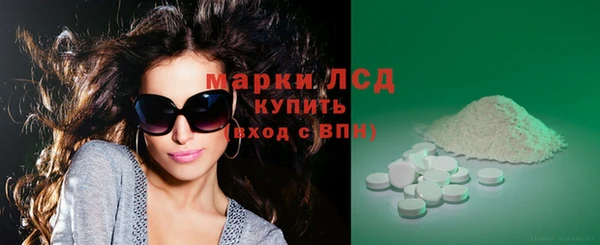 индика Балахна
