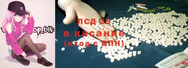 прущие грибы Балабаново