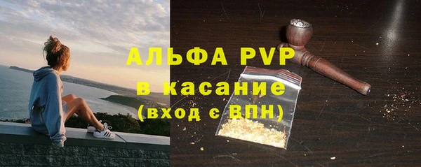 гашик Арсеньев