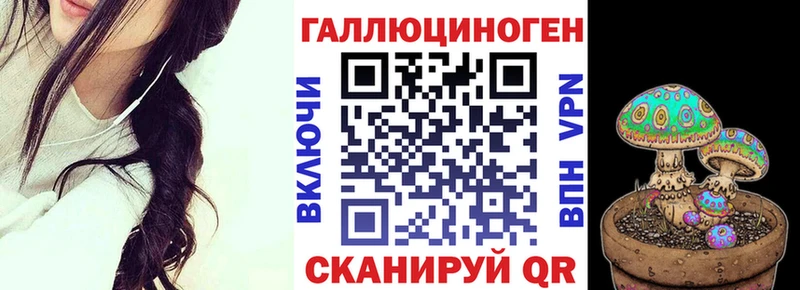 купить  сайты  Нязепетровск  Галлюциногенные грибы Psilocybe 
